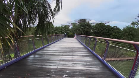 wooden bridge at the gardens by the bay in singapore almost empty due to coronavirus outbreak - panning shot