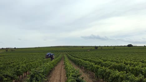 Cosechadora-De-Uva-Trabajando-En-Un-Gran-Viñedo