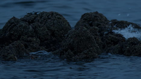 Pequeñas-Olas-En-El-Agua-Chocan-Lentamente-Y-Se-Levantan-Contra-Las-Rocas,-Primer-Plano-Detallado