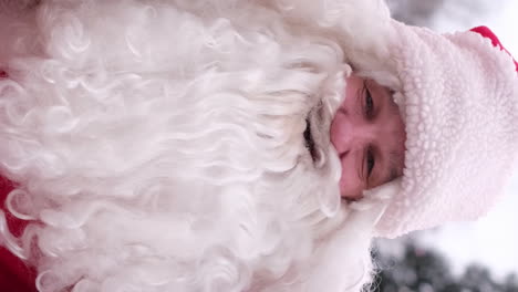 Portrait of a Bearded Old Santa Claus Portrait of a Bearded Old Santa Claus