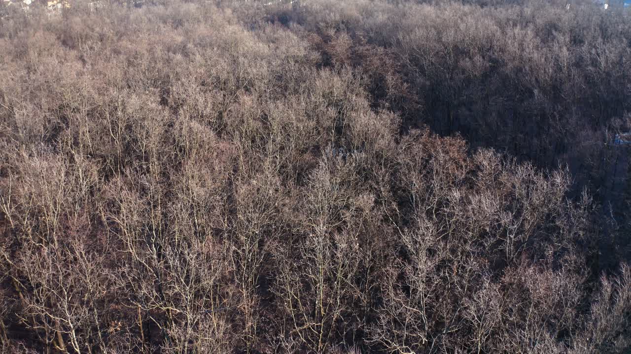 Flying over winter forest. Aerial view on forest landscape in winter season