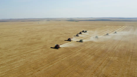 many combine harvesters harvesting on a dusty field in saskatchewan, canada