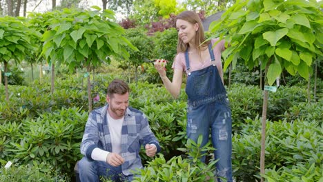 Hombre-Y-Mujer-Cuidando-Las-Plantas-En-El-Jardín