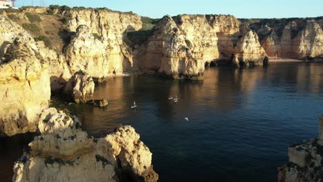 a group of stand up paddle boarders exploring the coast on a bright sunny morning