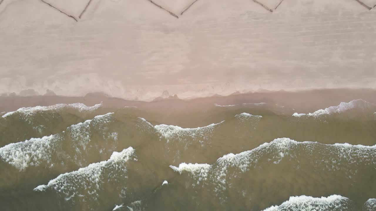 조감도는 거친 물 위로 내려온다