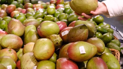 fresh mango is sold at the fruit market. a woman’s hands pick fruit at the market. natural vitamin c