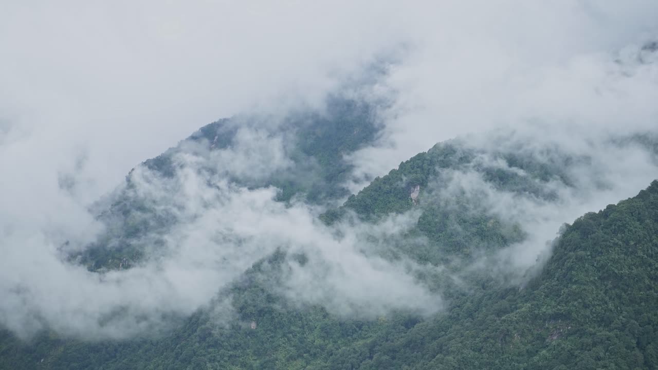 Aerial View of Forest and Clouds in Mountains Scenery in Nepal, Elevated View from Above of Green Forest of Trees and Low Lying Clouds Moving Over the Treetops in Himalayas Mountains in Nepal