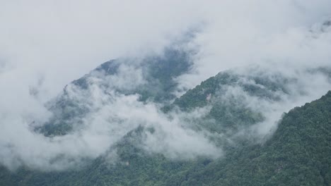 aerial view of forest and clouds in mountains scenery in nepal, elevated view from above of green forest of trees and low lying clouds moving over the treetops in himalayas mountains in nepal
