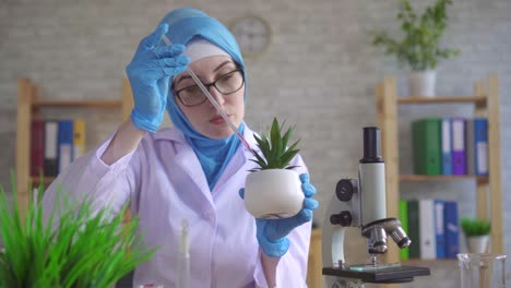 joven mujer musulmana científica botánica con un pañuelo nacional trabajando en el laboratorio realizando experimentos en la planta