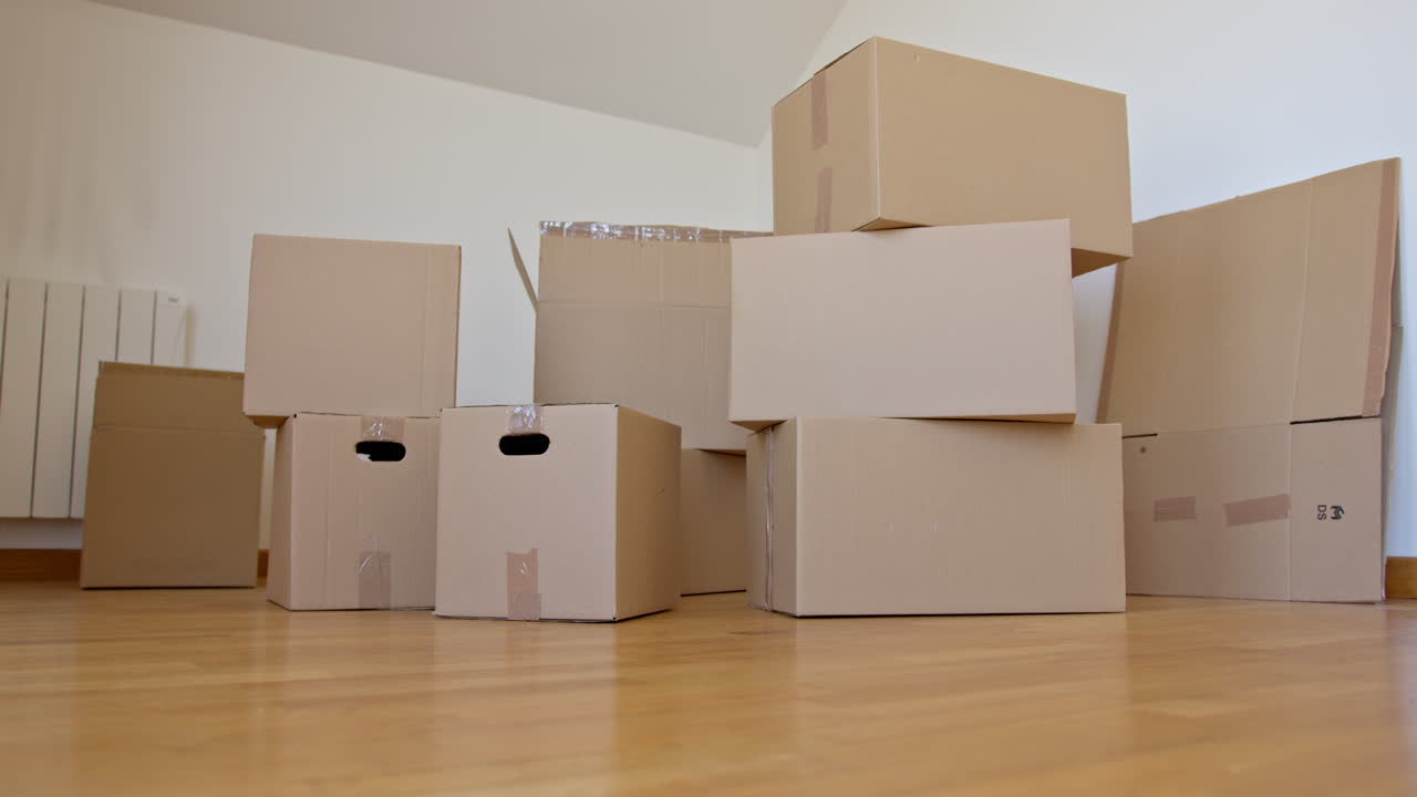 Fit attractive brunette carry boxes into new apartment