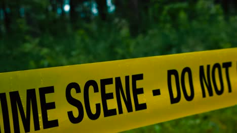 close up glide over vivid yellow crime scene tape with raindrops stretched through a damp eerie wooded area. behind the wet barricade tape blurry forest background, shadowed tree trunks and bushes