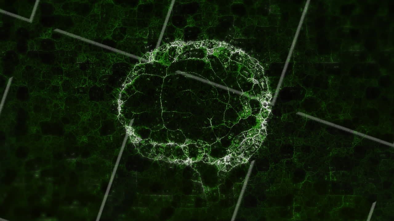 Animation of green human brain spinning over grid