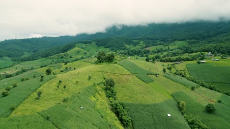 4K-Cinematic-nature-aerial-drone-footage-of-the-beautiful-mountains-and-rice-terraces-of-Ban-Pa-Pong-Piang-at-Doi-Ithanon-next-to-Chiang-Mai,-Thailand-on-a-cloudy-sunny-day