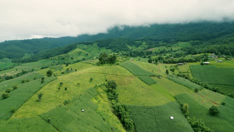 4k cinematic nature aerial drone footage of the beautiful mountains and rice terraces of ban pa pong piang at doi ithanon next to chiang mai, thailand on a cloudy sunny day