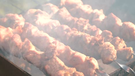 appetizing juicy pork barbecue is roasted on skewers on top of charcoal grill. close-up meat pieces.