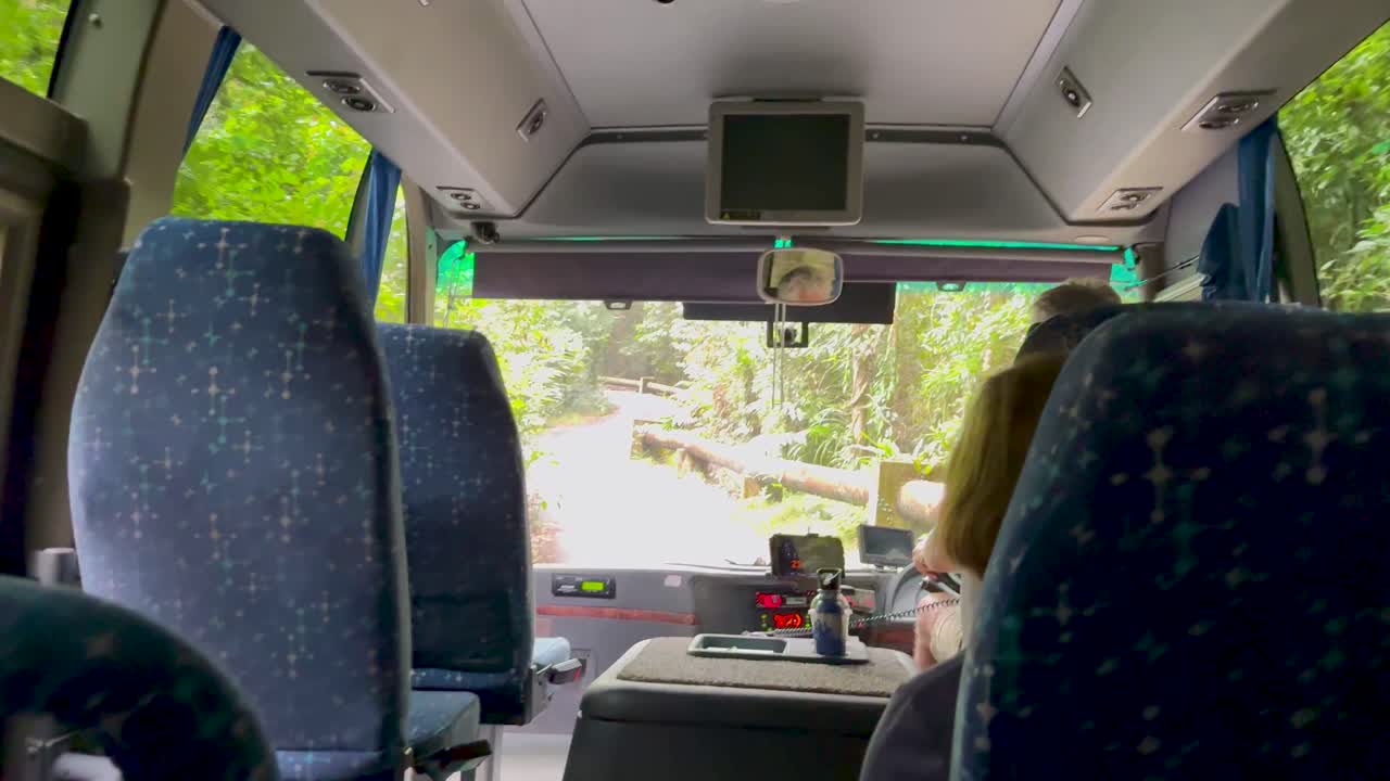 Passenger rides inside bus as it drives through dense, sunlit rainforest with steady camera perspective