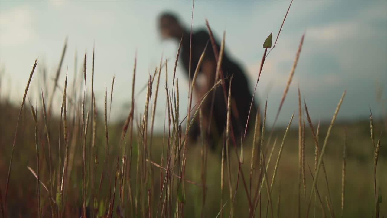 Carrellata in slow motion di una modella indiana in abito nero, sfocata sullo sfondo, in un campo di erba alta al tramonto.