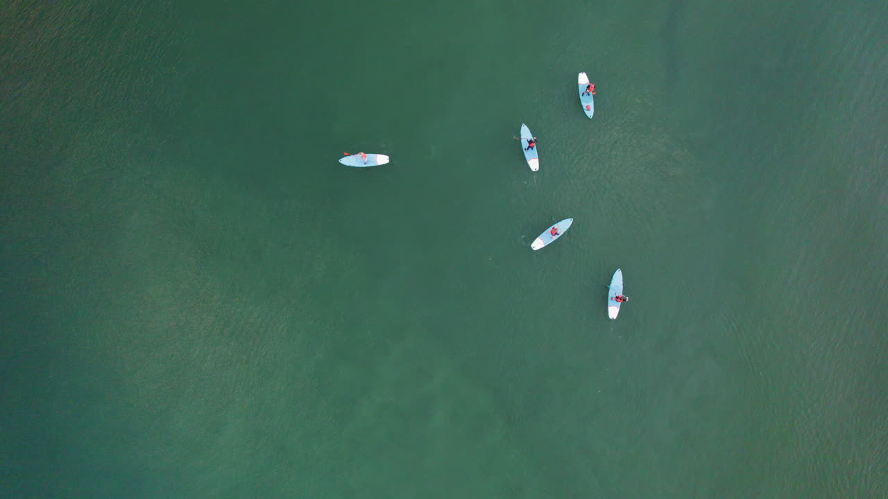antena ascendente de arriba hacia abajo que muestra un grupo de palistas practicando en el mar verde