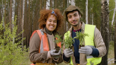 caucasian man and african american woman activists holding small trees and smiling at camera in the forest