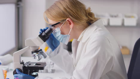 female lab research worker in ppe looking through microscope and recording results on laptop