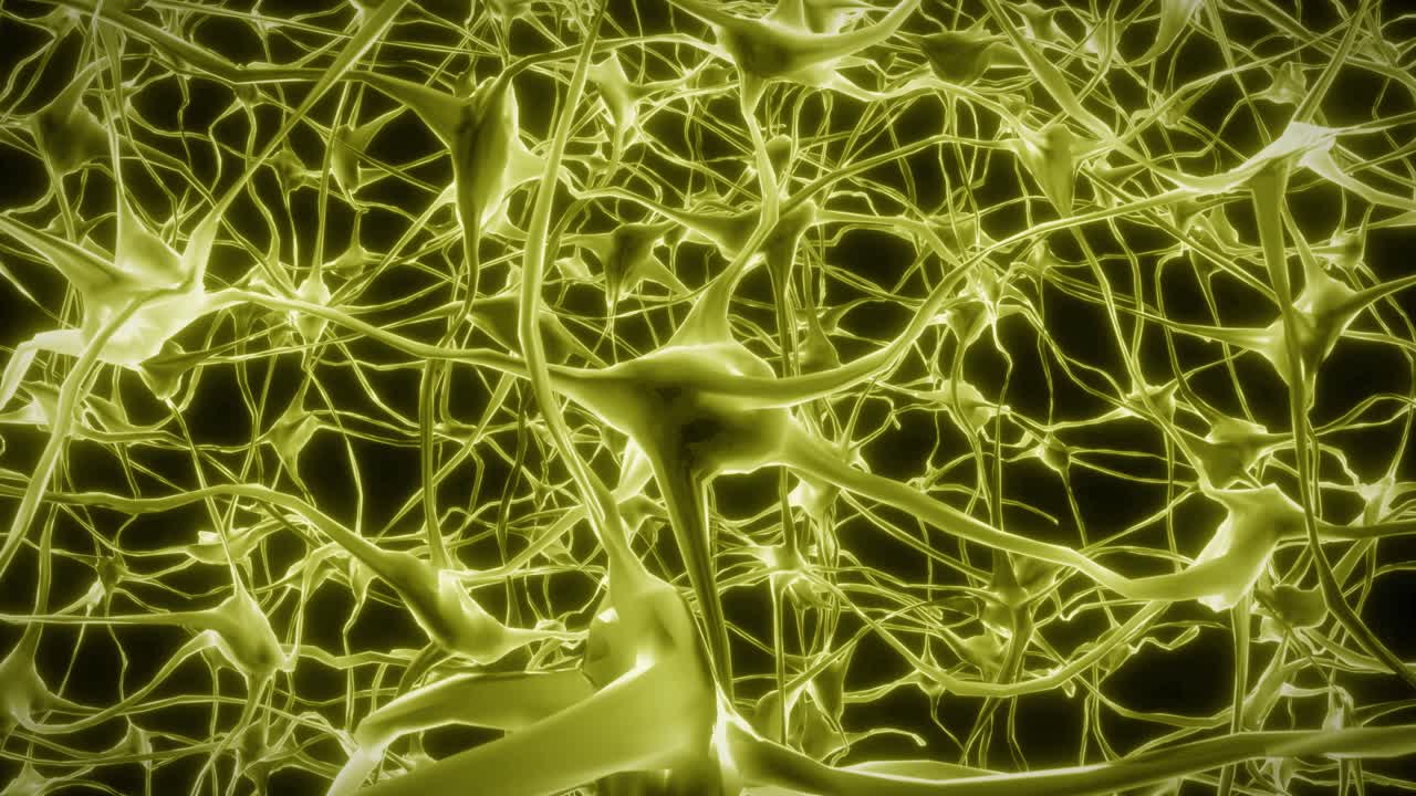 neuronas cerebro mente axón pensamiento red neuronal holograma célula ciencia de la salud 4k