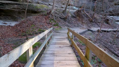 a first person view of crossing a wooden bridge in the forest