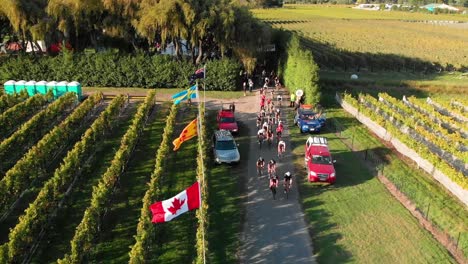 slowmo aerial bikers starting their race through a winery in marlborough, new zealand