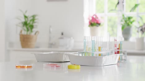 Video-of-test-tubes,-petri-dishes-and-chemistry-equipment-on-kitchen-counter-at-home,-copy-space