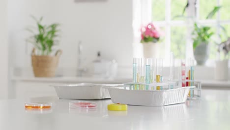 video de tubos de ensayo, placas de petri y equipos de química en el mostrador de la cocina en el hogar, espacio de copia.
