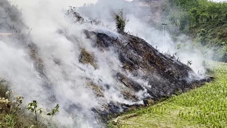 burning smoke rice fields season in southeast asian field