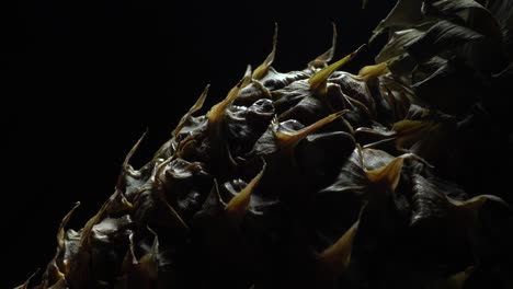 piña en rotación
