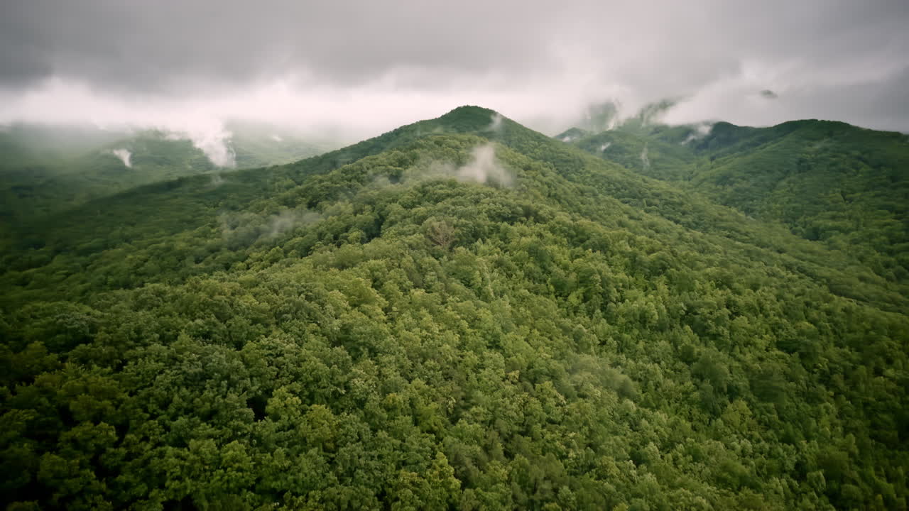 Drone shot floating above a peaceful, mist-kissed Smoky Mountain slope
