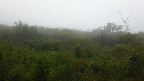 La-Niebla-Cayo-Esta-Mañana-En-La-Montaña-Y-Hace-Frio