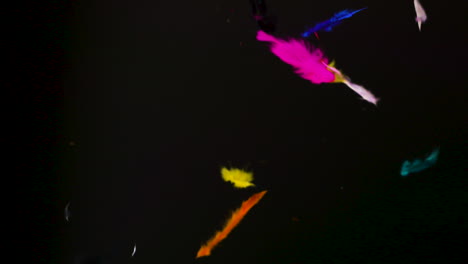 Fluffy,-colorful-bird-feathers-floating-down-from-the-sky-in-slow-motion