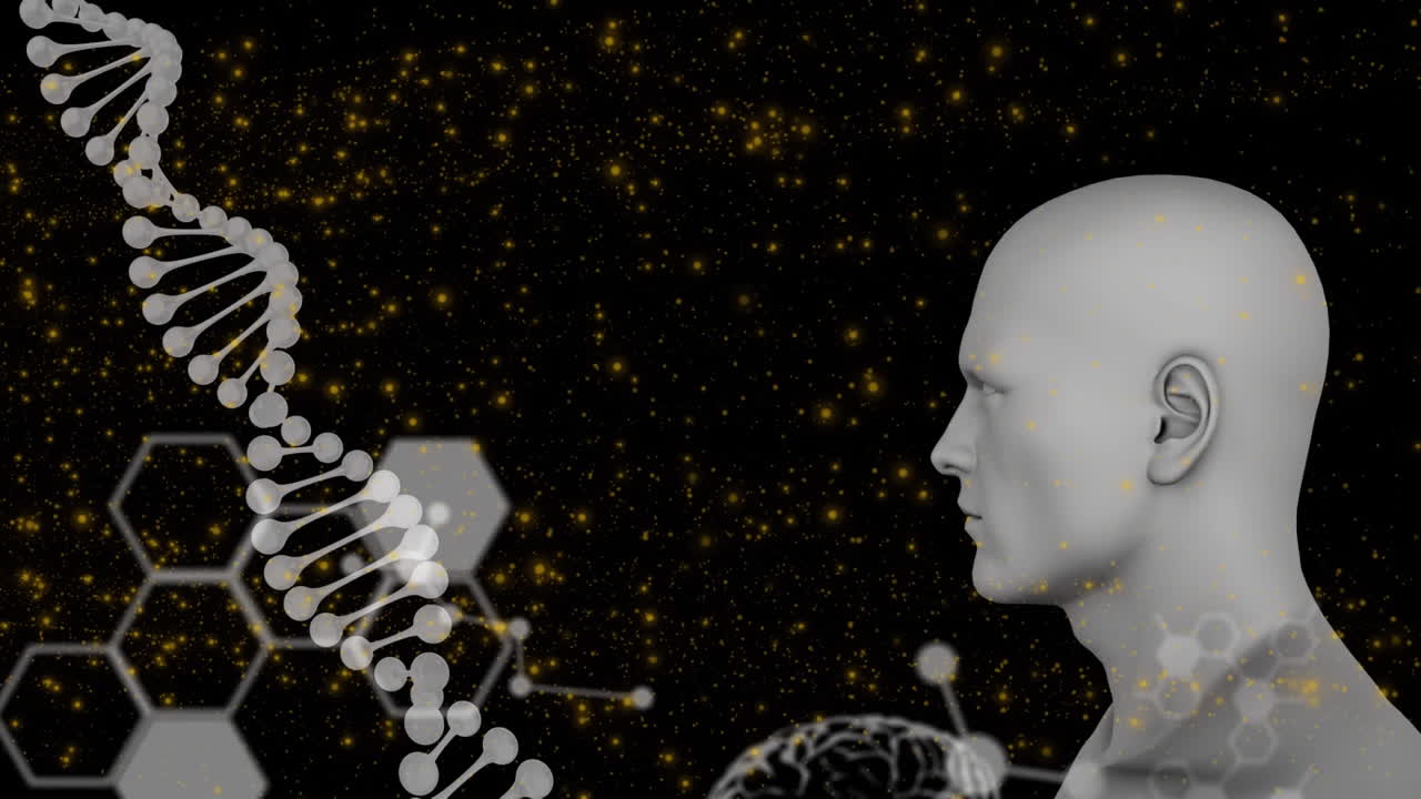 dna 줄무의 애니메이션, 검은색 배경의 데이터 처리에 대한 인간의 머리