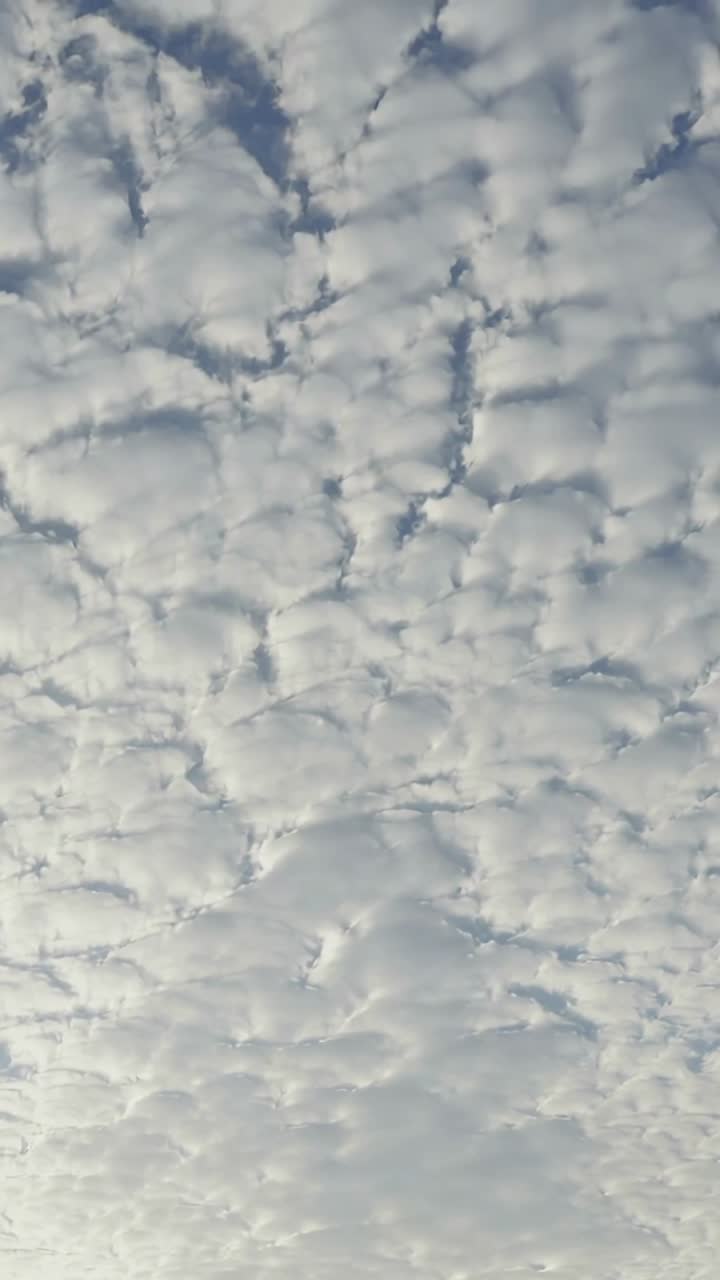 Vertical video: Recording mackerel cloud field drifting by wind over sky, faint contrail shifting