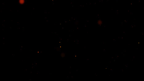 red points of light floating slowly upwards across a black background