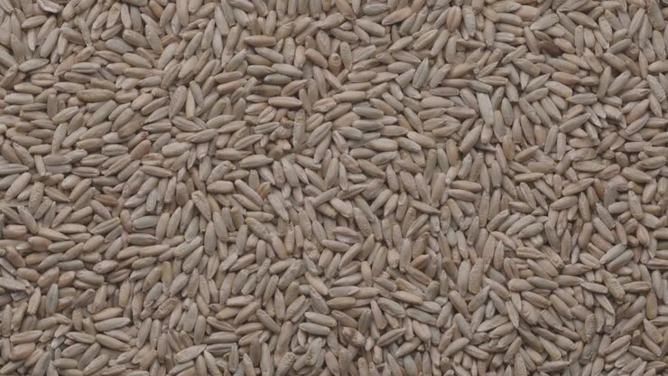 Ungraded video of rotating pile of raw rye seeds
