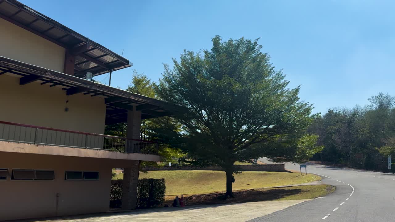 un viaje pacífico a través de la vegetación exuberante