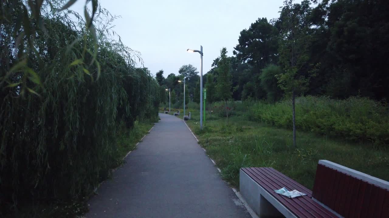 walk in park at night with lake near. Walking in the park with a lake near and the lights on