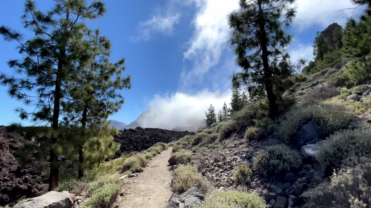 Which is the prettiest part of Tenerife?

What is special about Tenerife?