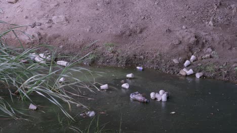 tazas de poliestireno, botellas de plástico y latas flotan en agua de algas contaminadas