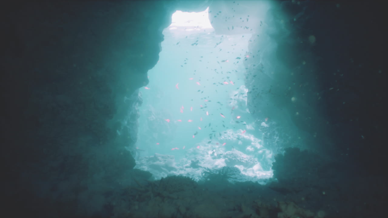 Exploring the tranquil undersea cave filled with shimmering fish at sunrise