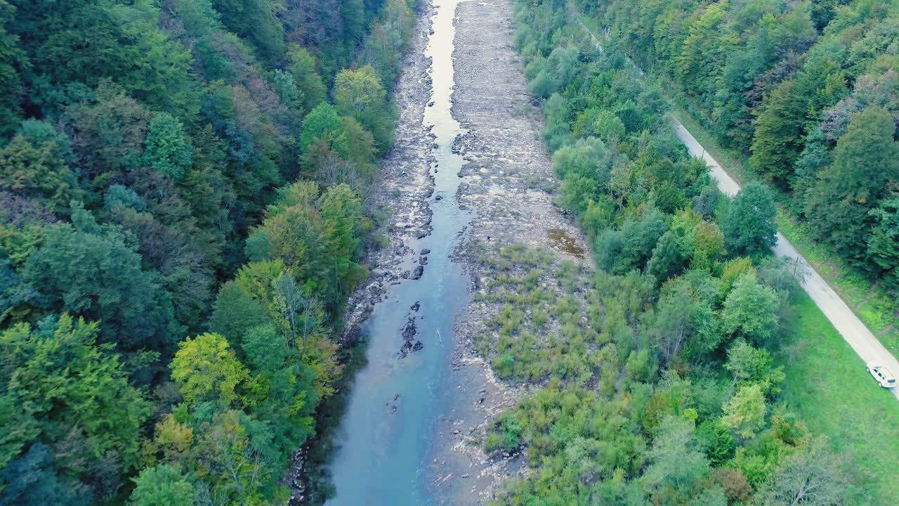 Bela paisagem do rio rodeado pela floresta densa