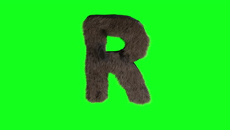 Abstract-hairy-letter-R-sign-fluffy-furry