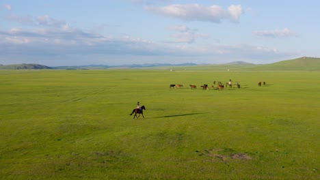 Cowgirl-riding-horse-towards-wild-horses-in-grasslands-of-Mongolia