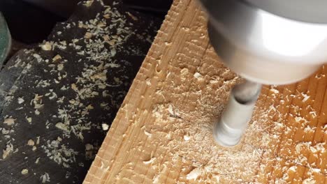 procesamiento de la madera