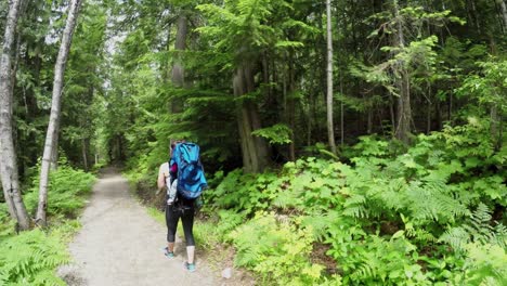 madre llevando al bebé en una mochila mientras camina por el bosque 4k