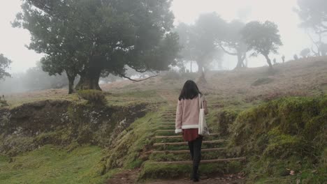 low angle girl walk in wood stairs covered in moss, laurel forest madeira island