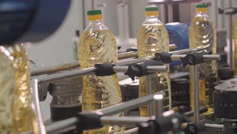 sunflower oil in the bottle moving on production line. bottling line of sunflower oil in bottles. vegetable oil production plant. high technology. industrial background